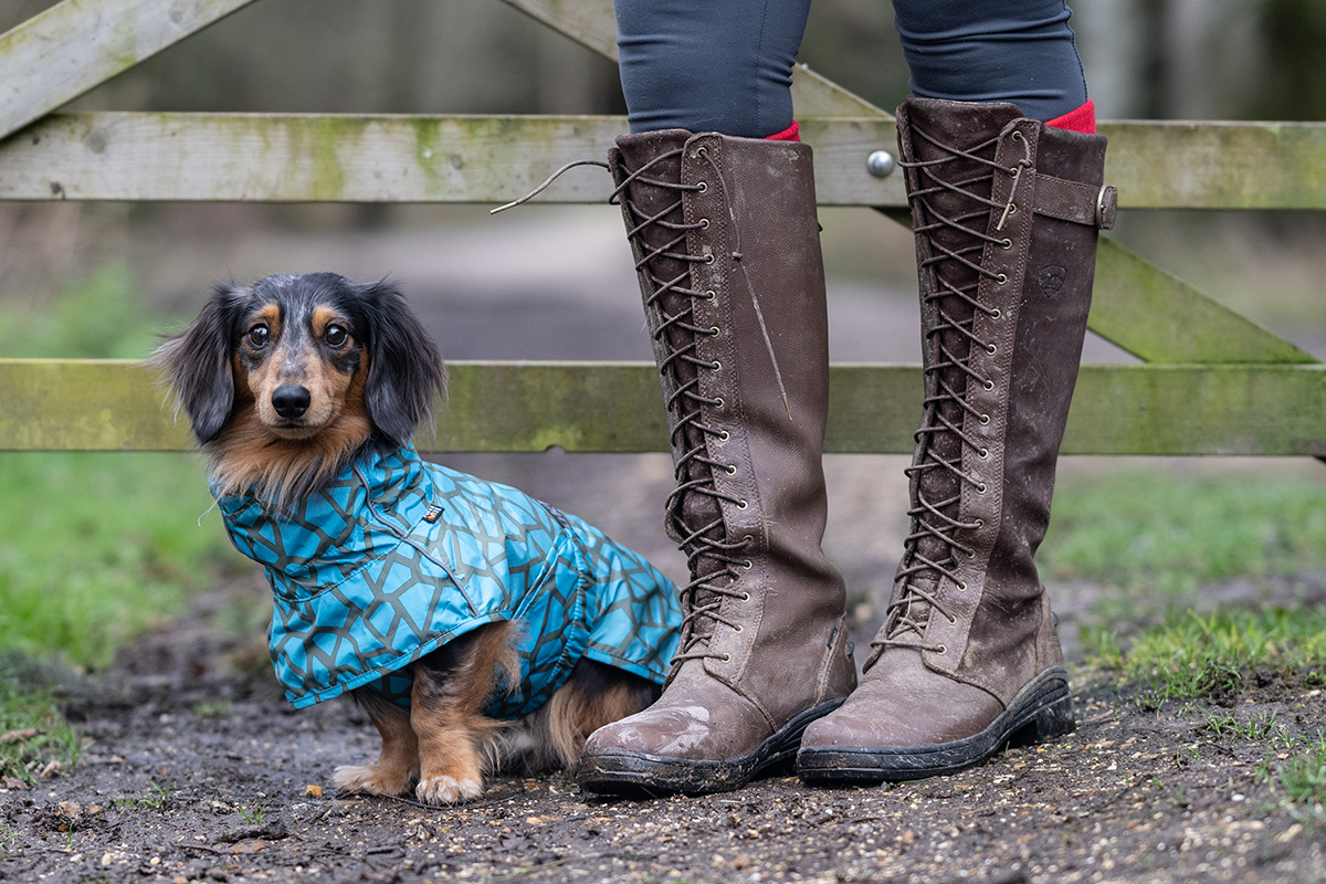 Rukka Pets Regenmantel Hayton Warm