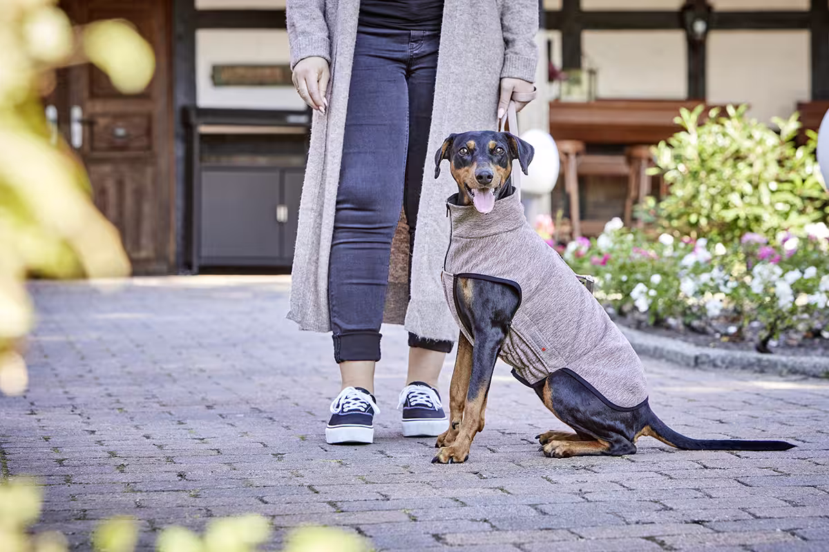 Veste polaire Casual