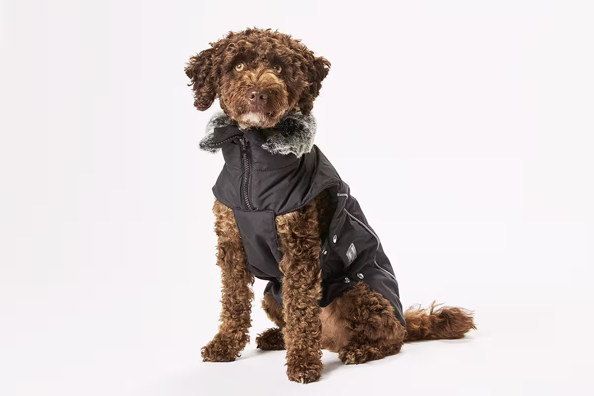 Veste d’hiver Amundsen