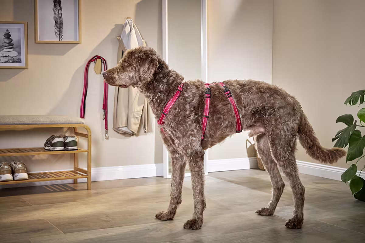  WOLTERS cat & dog GmbH