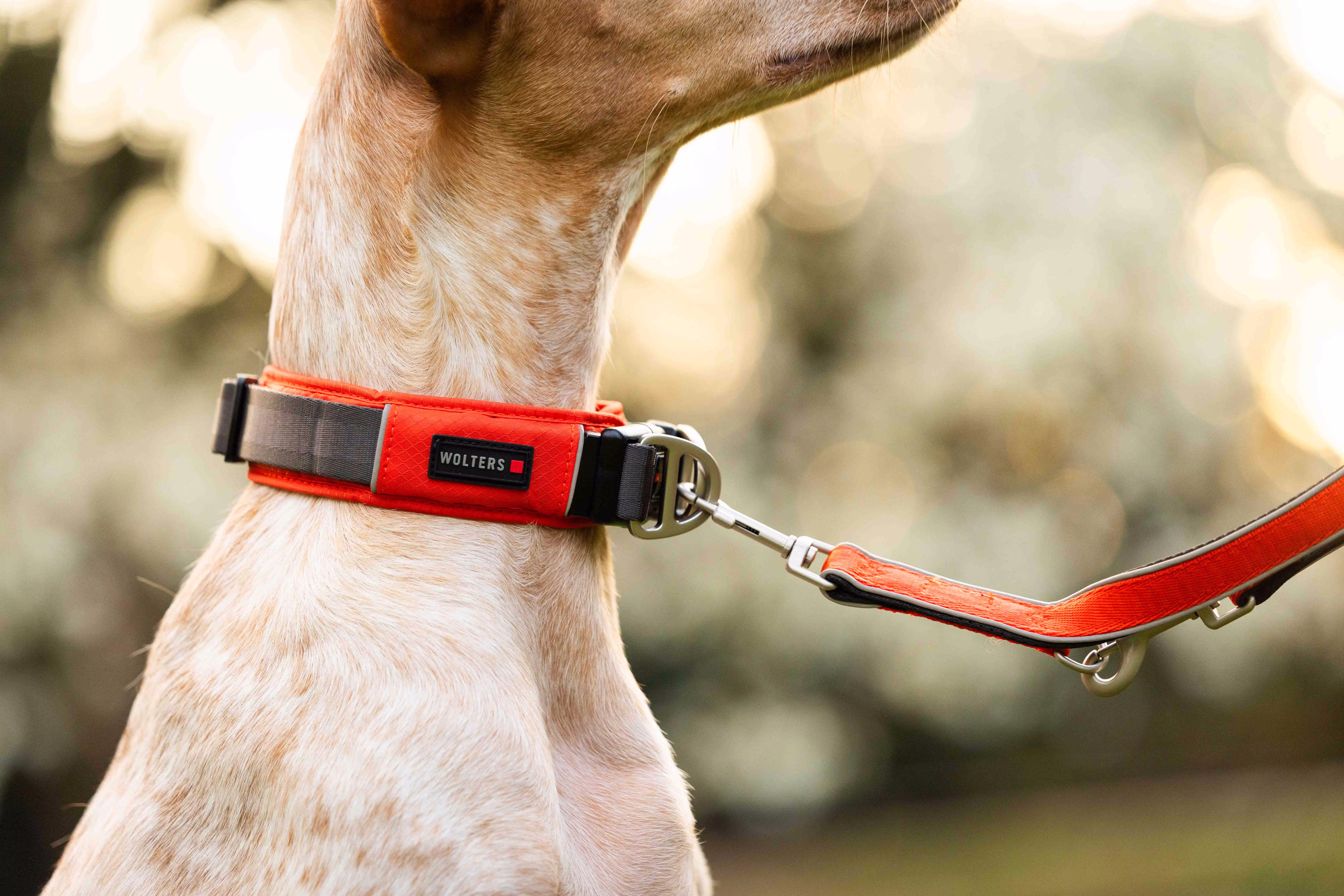 Active Pro Comfort Halsband WOLTERS cat & dog GmbH